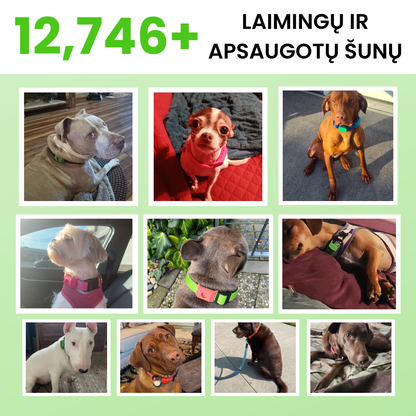 PetHealth™ Pakabukas Nuo Erkių ir Blusų Šunims - 12 Mėnesių Apsauga