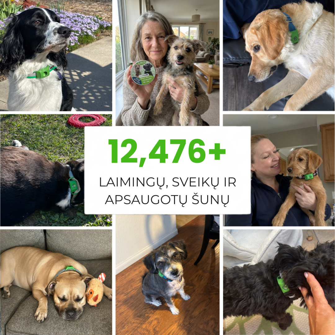 PetHealth™ Pakabukas Nuo Erkių ir Blusų Šunims - 12 Mėnesių Apsauga